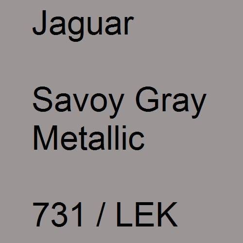 Jaguar, Savoy Gray Metallic, 731 / LEK.